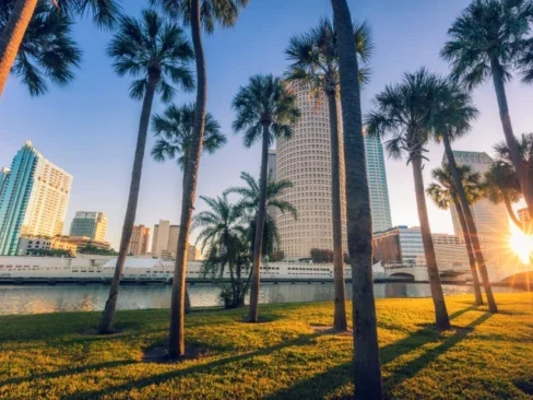 Downtown Tampa on a sunny day with palms and buildings in the background