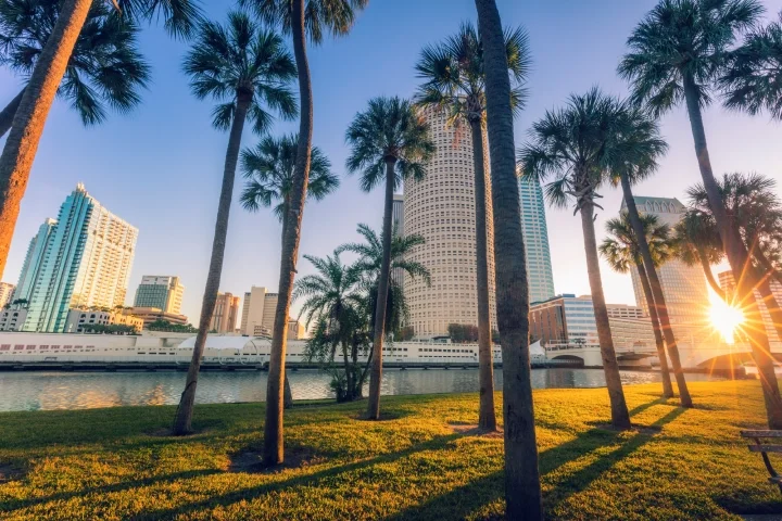 Downtown Tampa on a sunny day with palms and buildings in the background