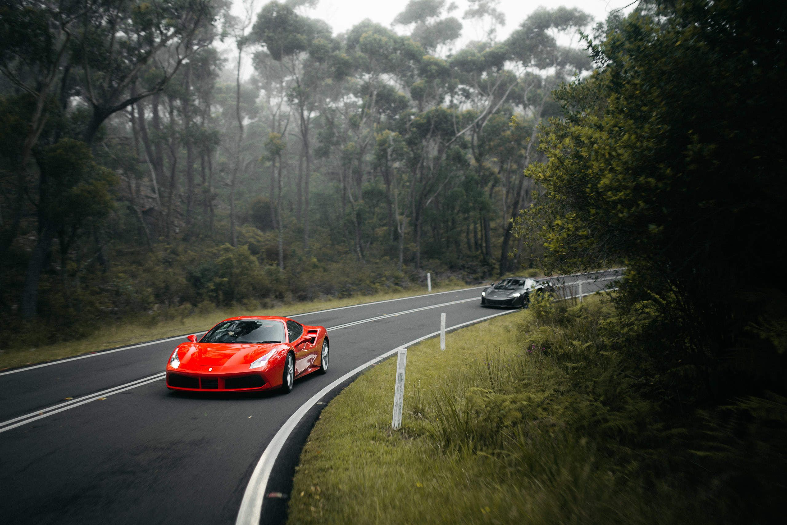 Take a drive through picturesque Kangaroo Valley