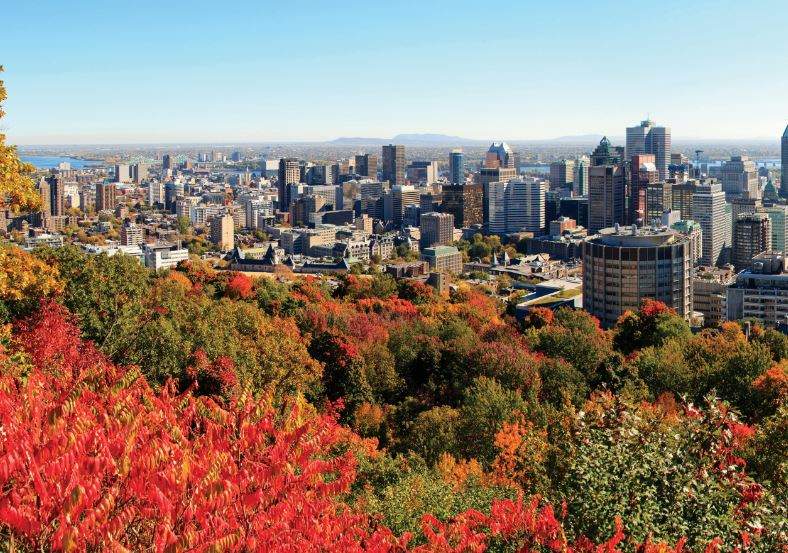 A Luxury Guide to Montreal