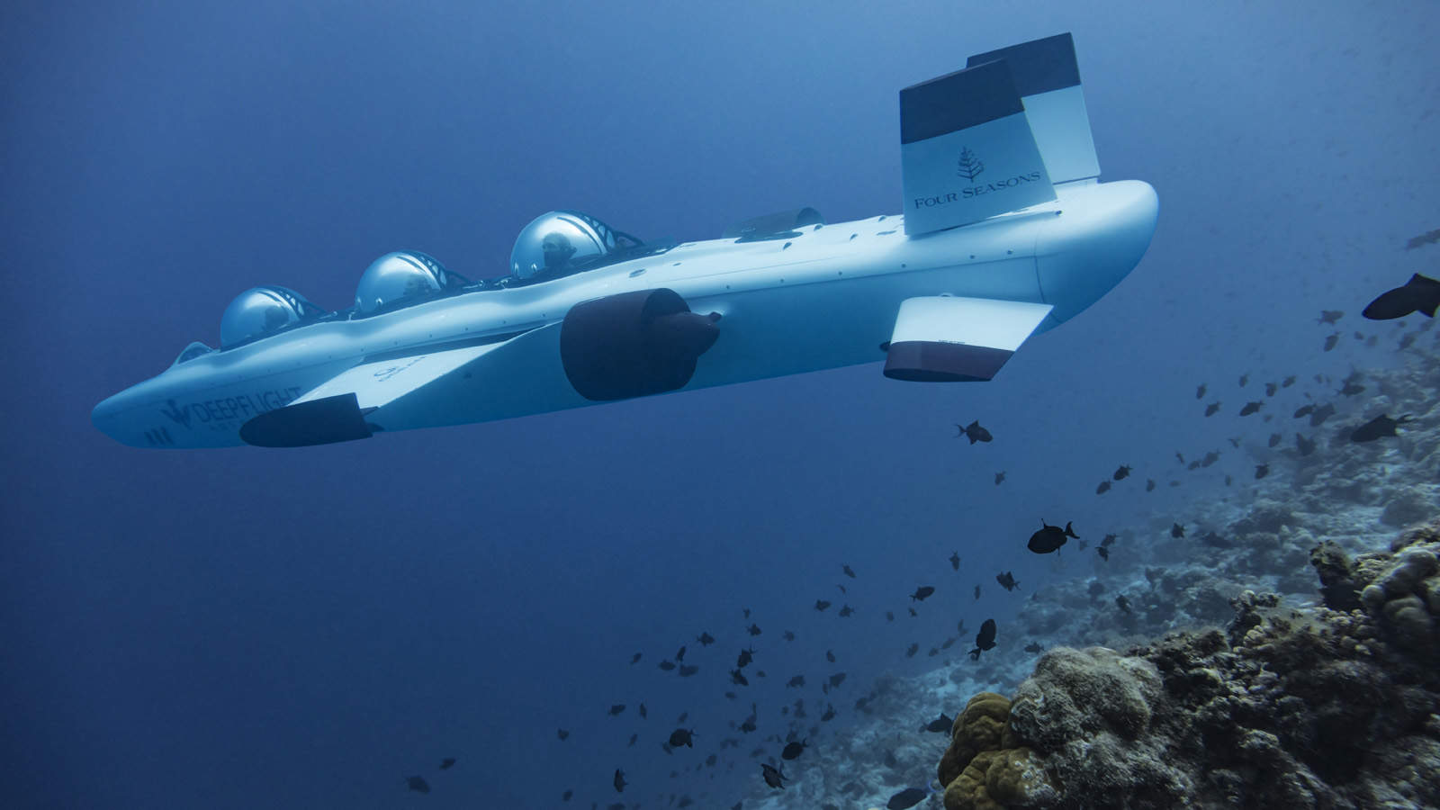 Submarine to the Maldive's Unesco Biosphere Reserve