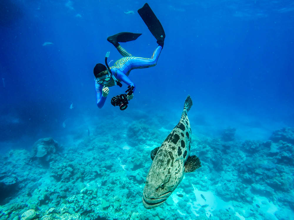 Photo of Al Boom Diving