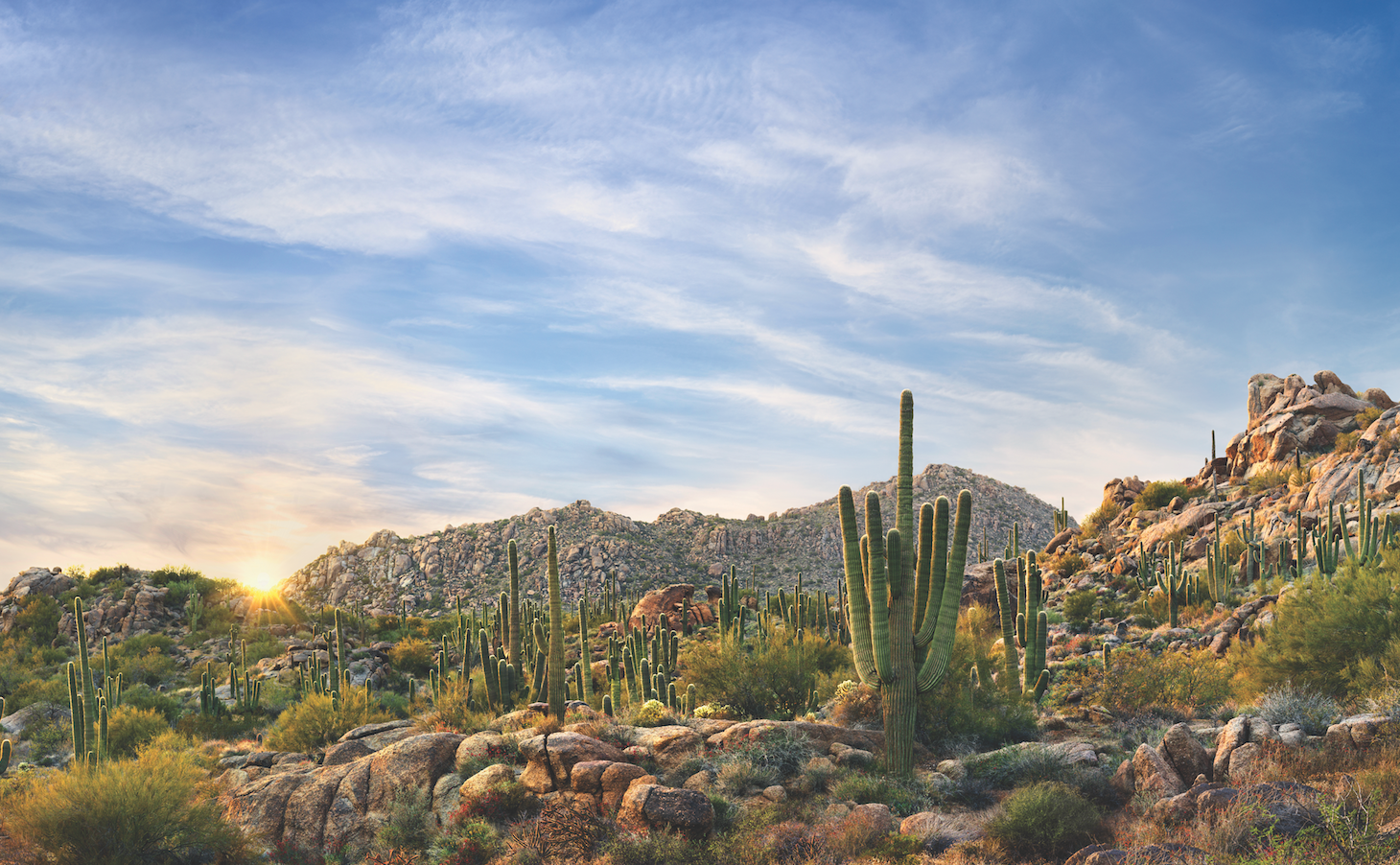 Where to Dine, Stay and Explore in Scottsdale