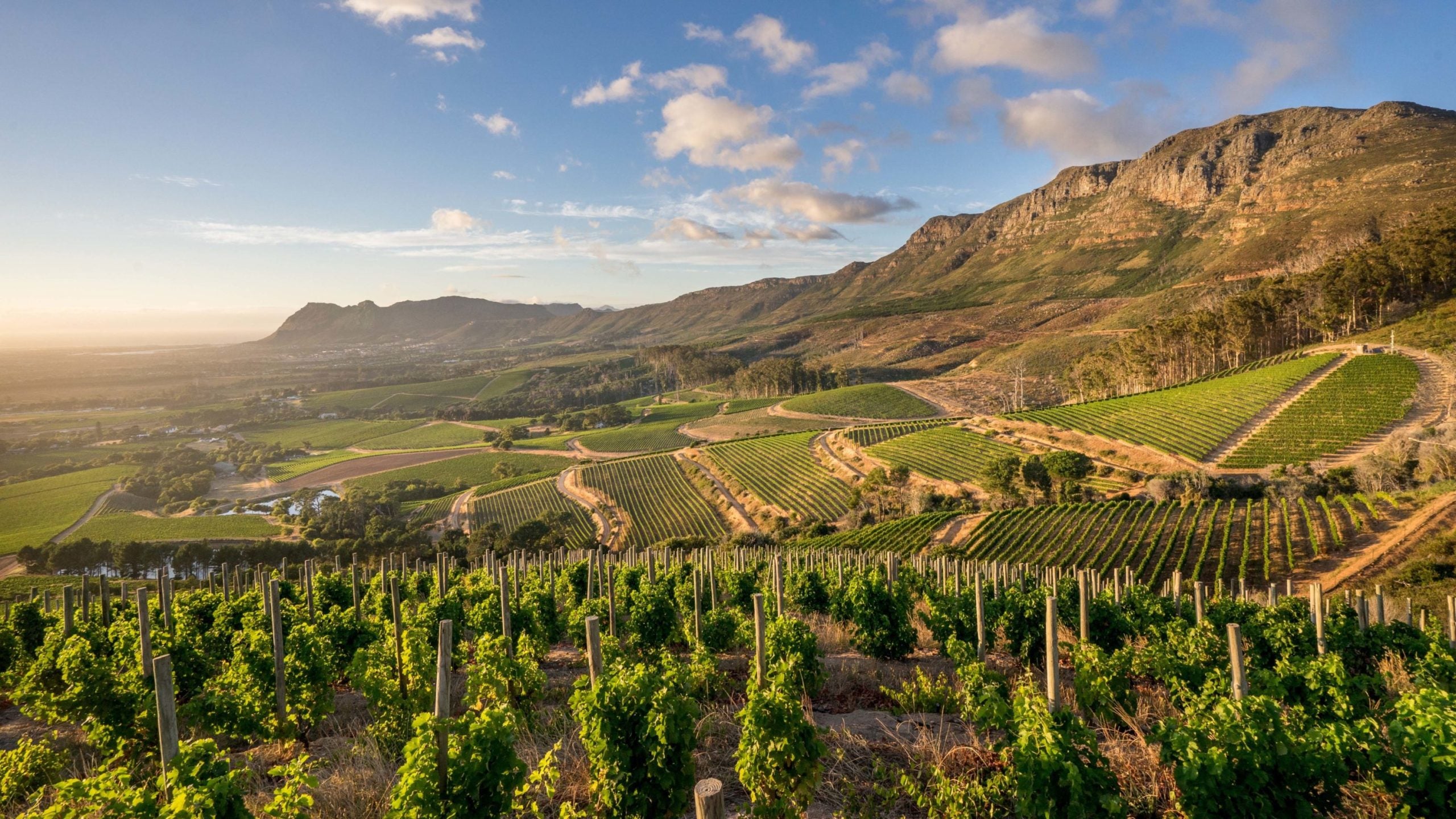 The Best Wine Experiences in South Africa