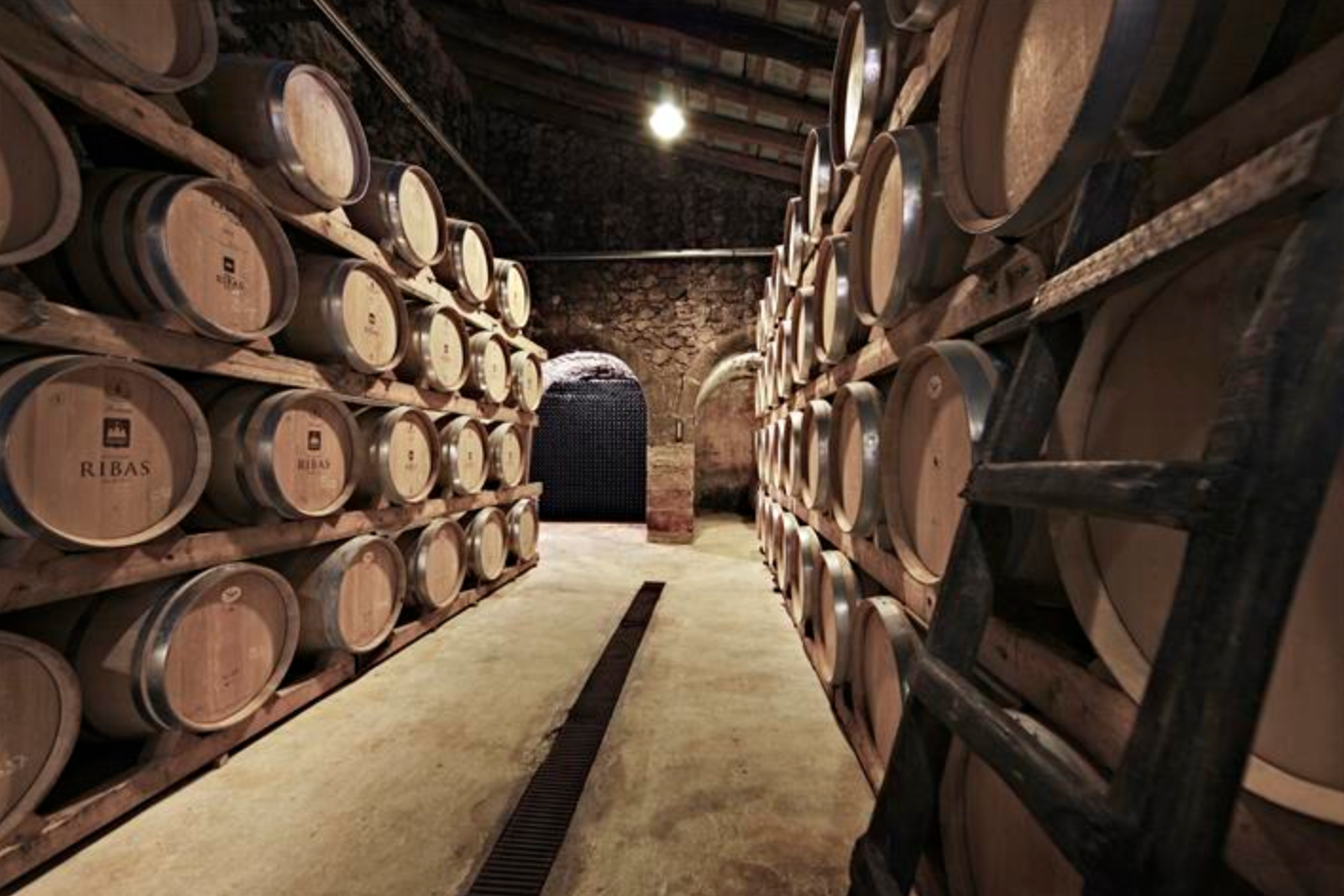 The Best Bodegas in Mallorca