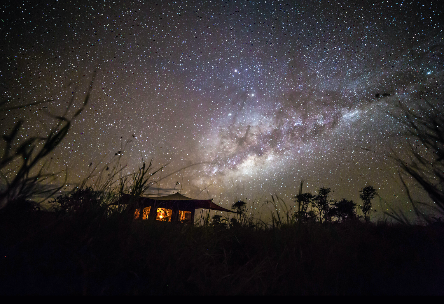 Escape the City with a Luxury Stargazing Experience
