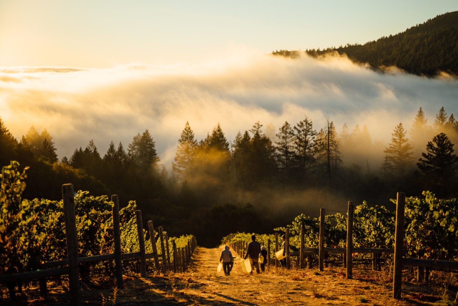 The Four Best Wineries In The World | Elite Traveler