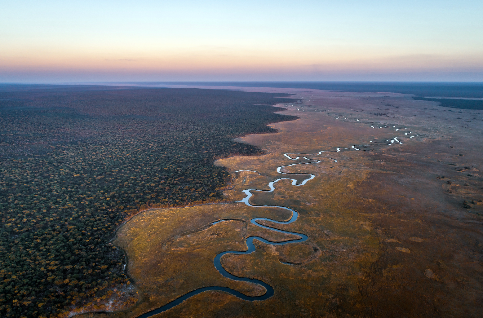 A Spectacular Safari With National Geographic Explorers