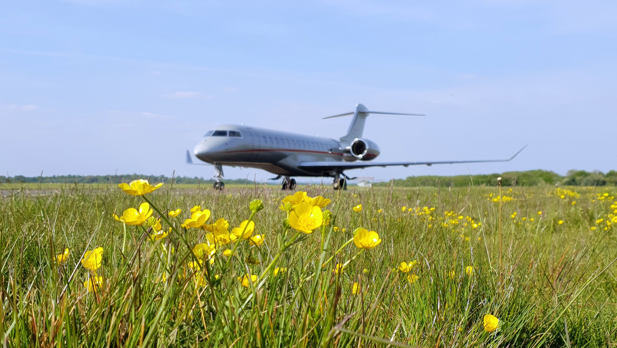 How Jet Charter Companies are Going Green