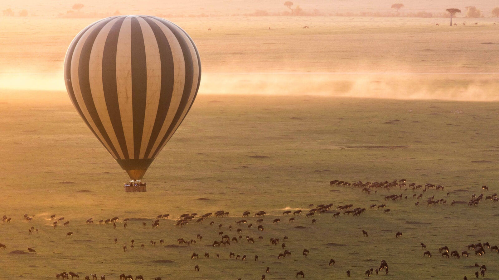 hot air balloon over Serengeti