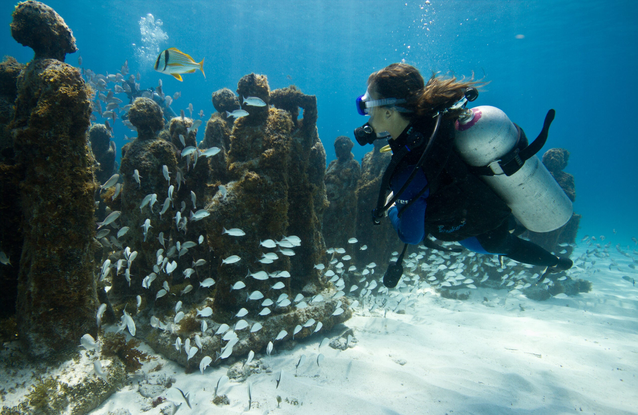 Women diving in the underwater museum