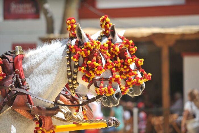 horse riding in spain