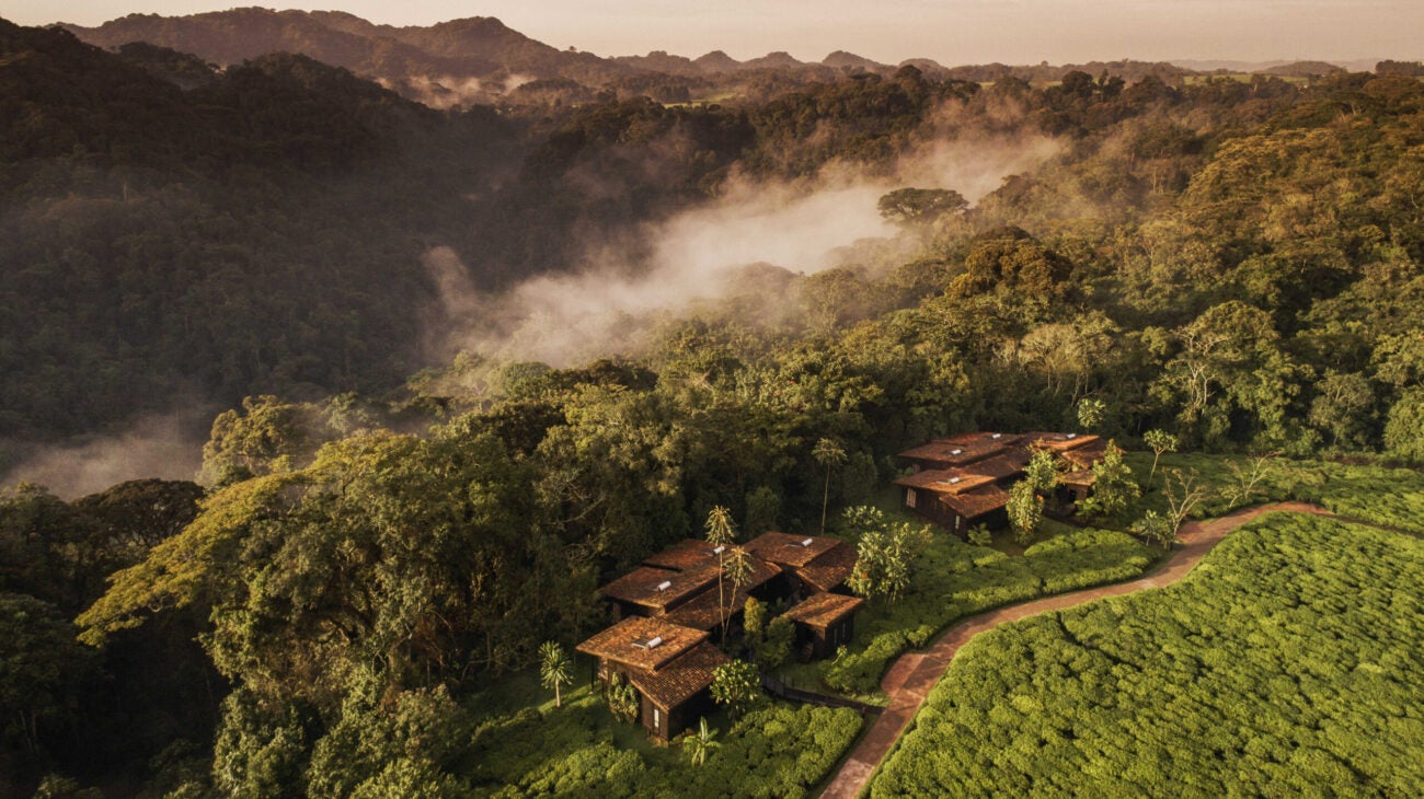 one&only Nyungwe House rwanda from above