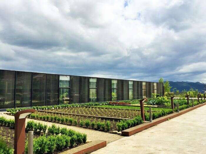 Vegetable garden at Azurmendi