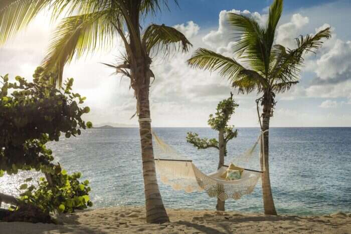hammock on palm trees on turtle beach necker island
