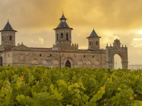The Most Beautiful Wineries to Visit in France