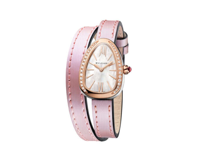 interchangeable band watch