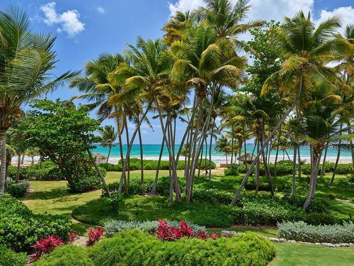 St.Regis Bahia - Gardens with view of ocean