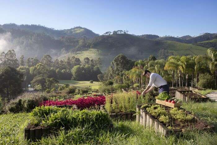 organic farm