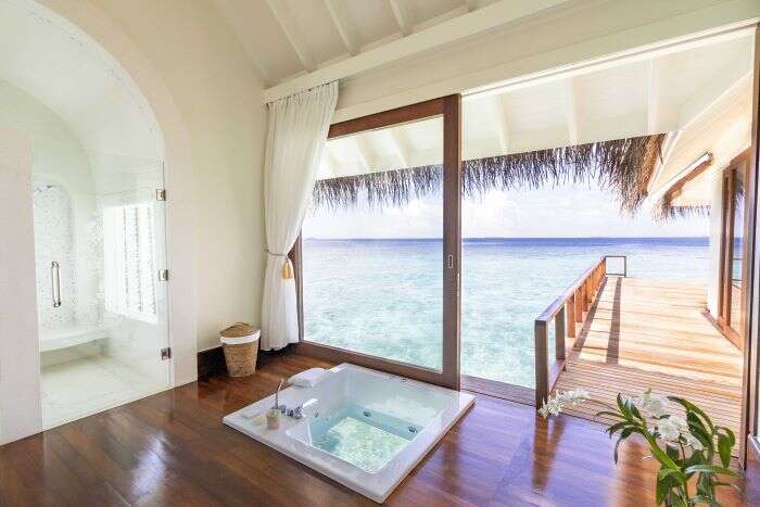 Glass bottom bathtub overlooking the water