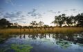 Great Plains Reveals New Botswana Experience Itinerary