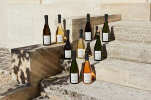 House of Telmont champagne bottles on a step
