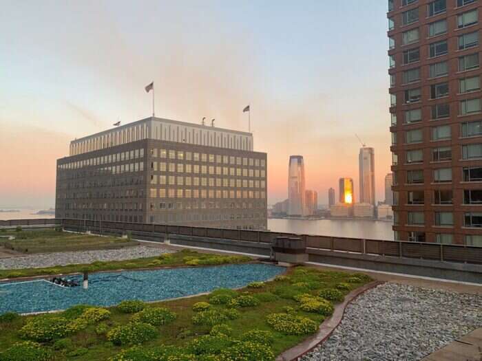 rooftop garden at Conrad