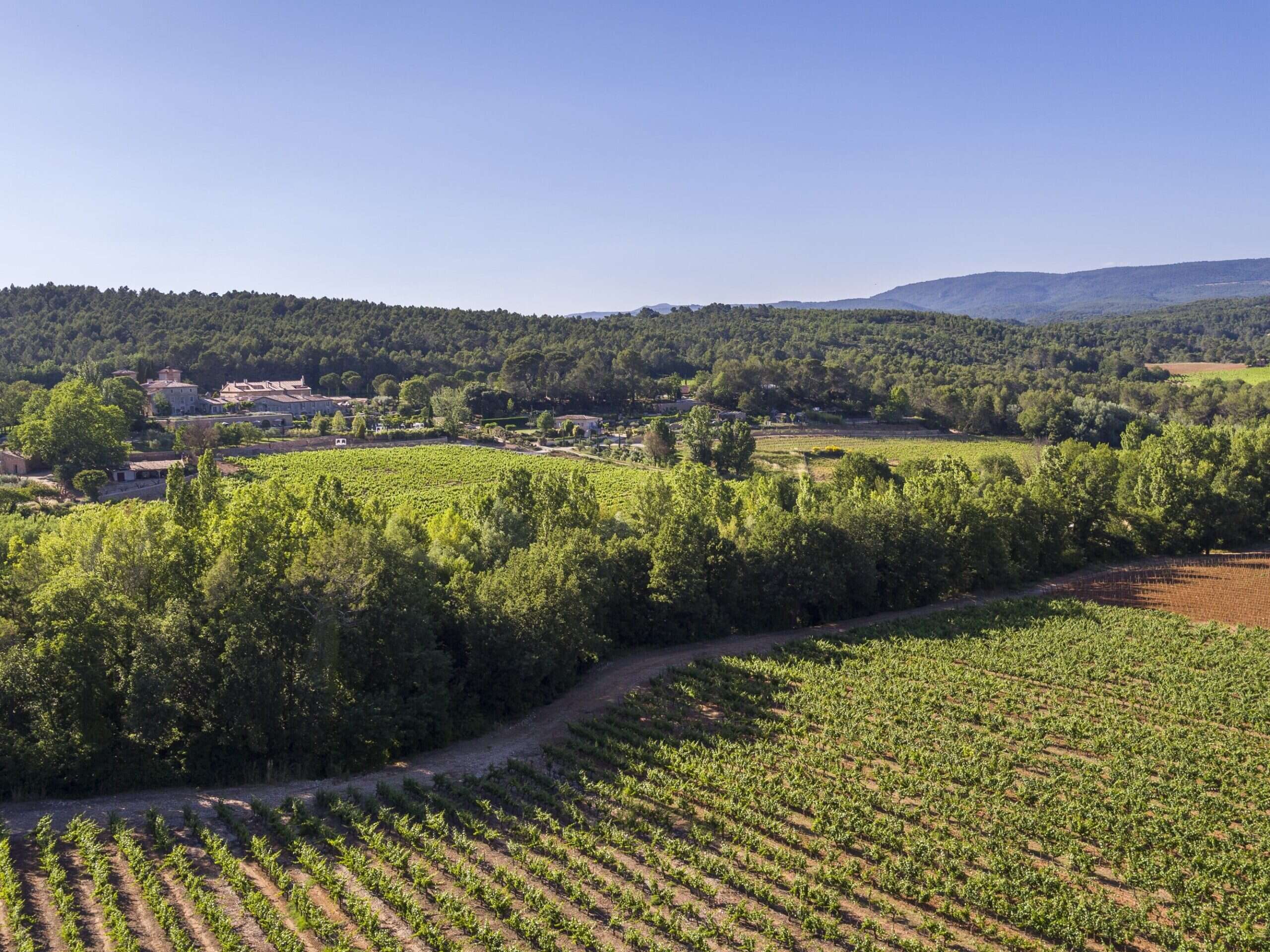 chateau de berne rosé vineyard provence