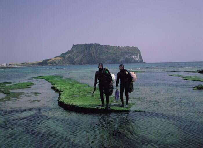 Female divers on Jeju Island