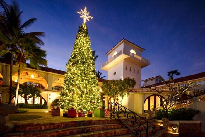 Christmas Tree at One&One Palmilla