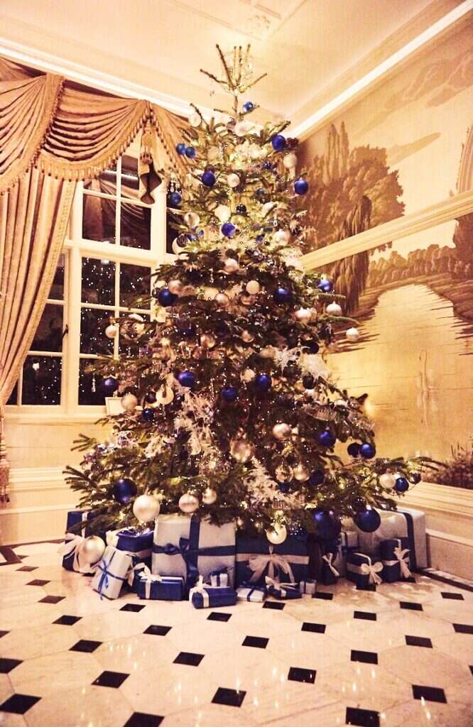 the goring christmas tree