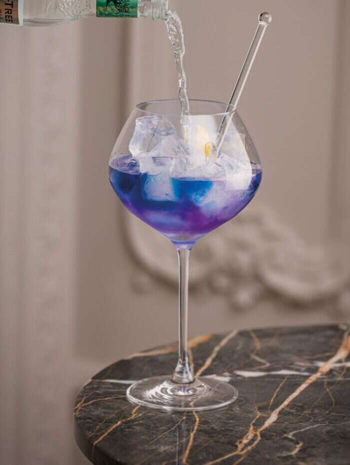 The Cobalt and tonic cocktail 