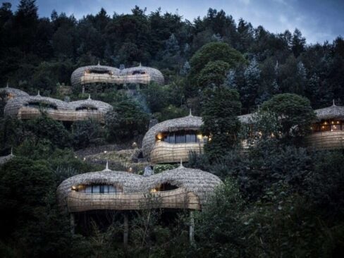 Bisate Lodge