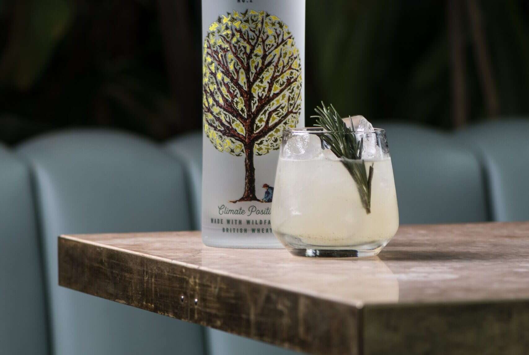 sapling gin bees knees cocktail