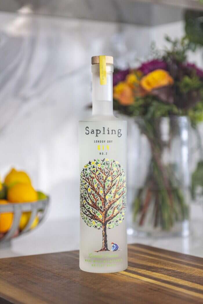 bottle of sapling gin