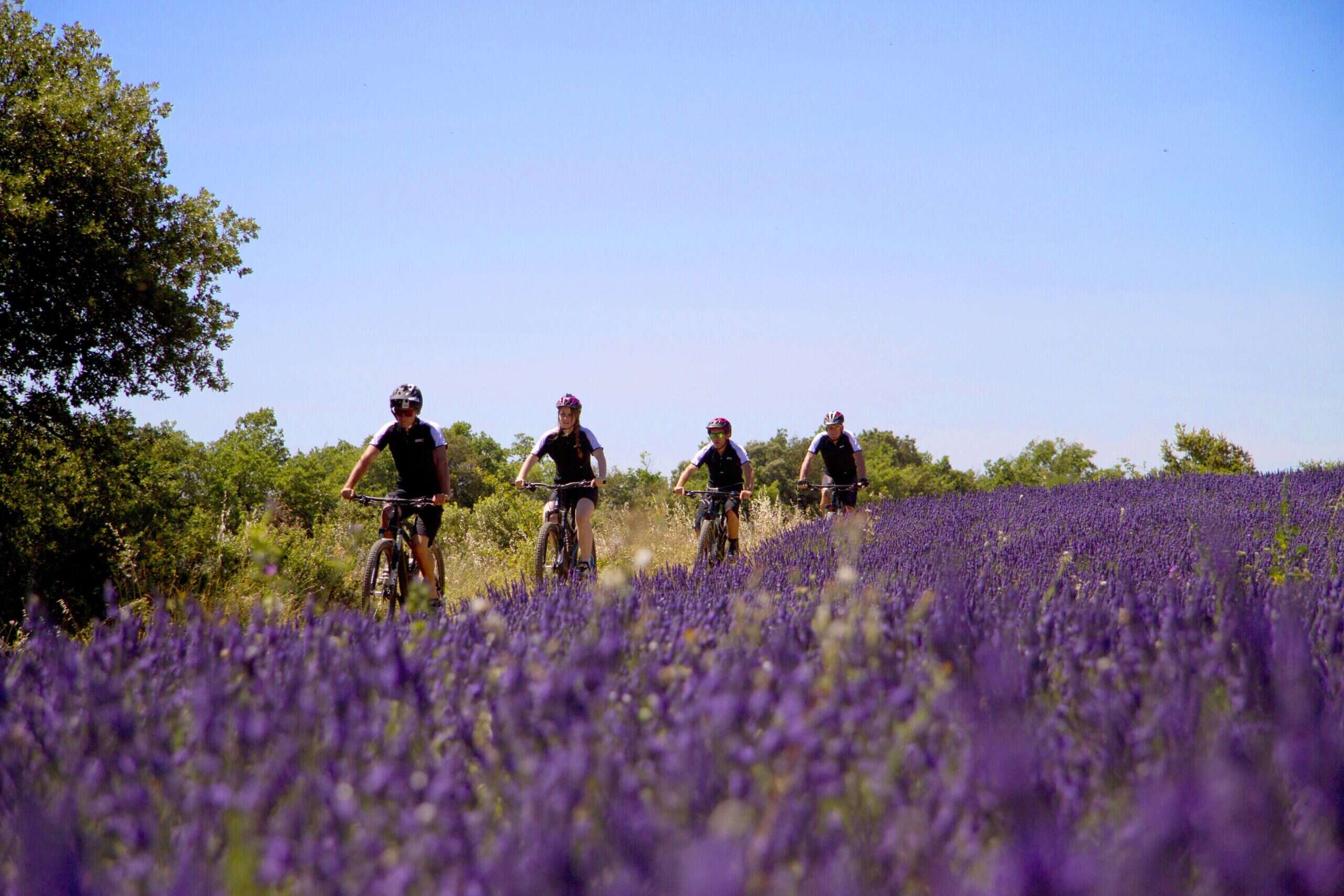 bike tour at Coquillade Provence Resort and spa