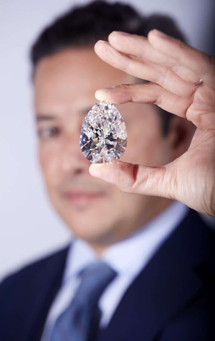 Christie's Rahul Kadakia with the world's largest diamond to go on auction