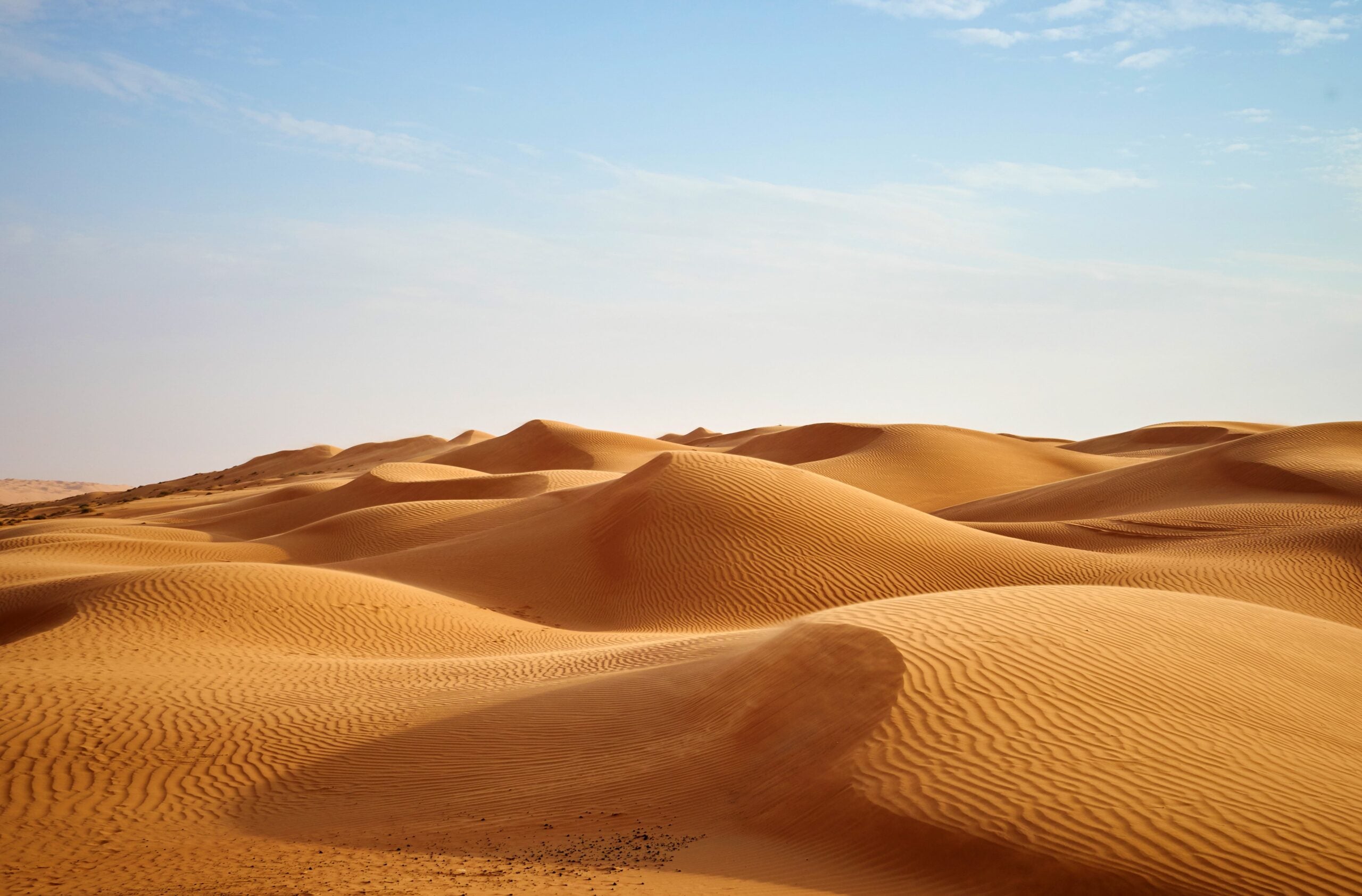Enjoy Endless Sands in Oman's Empty Quarter