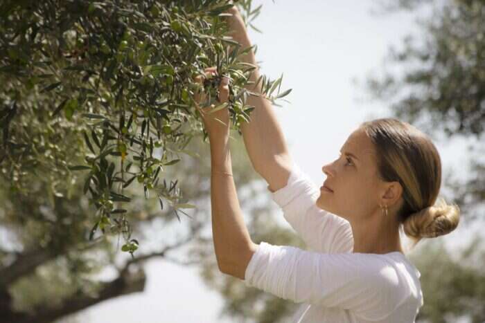 Irene Forte picking olives at the organic farm in Sicily 