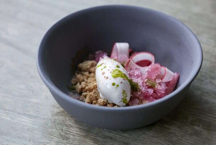 rhubarb dish at apricity restaurant