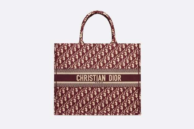 dior book bag