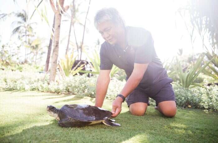 auberge enriching lives turtle program
