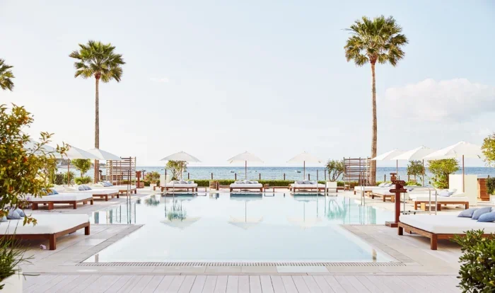 Hotel pool palm trees