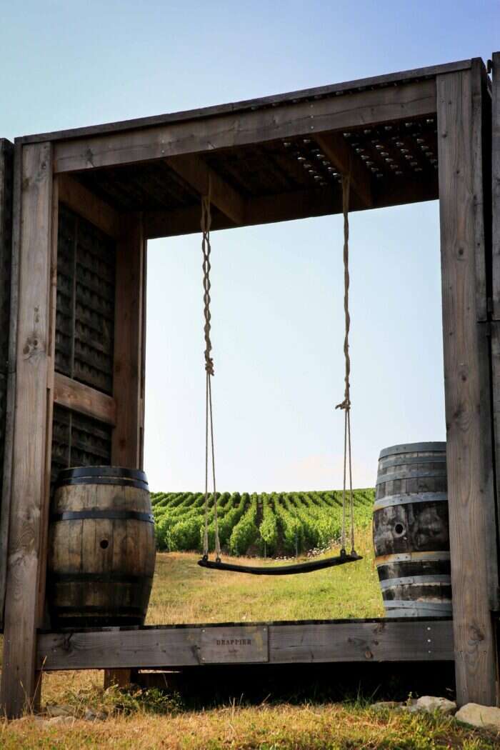 Drappier vineyard with swing