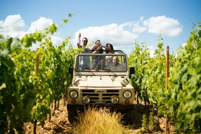 vallepicciola safari wine tasting