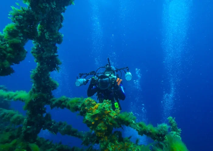Marine research scuba diver