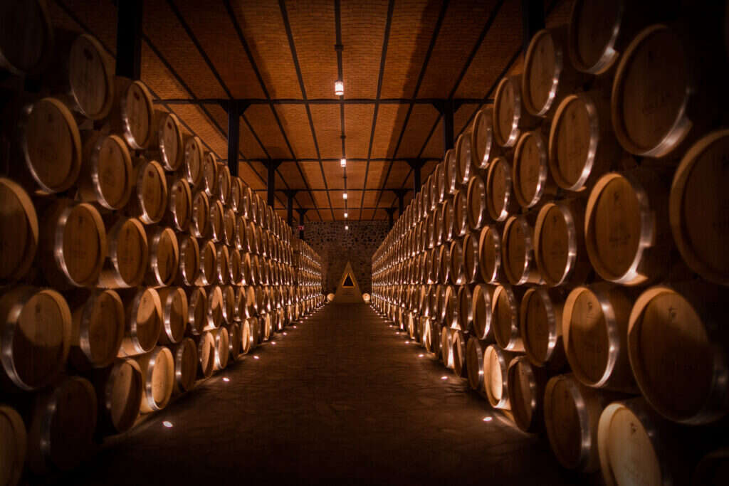 volcan de mi tierra aging room