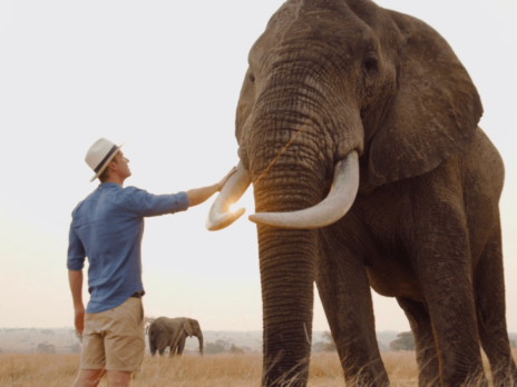 David Filer Previews Life-sized Elephant Series in London