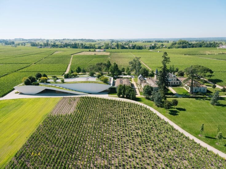 A Tree Revolution: The Bordeaux Vineyards Embracing Agroforestry