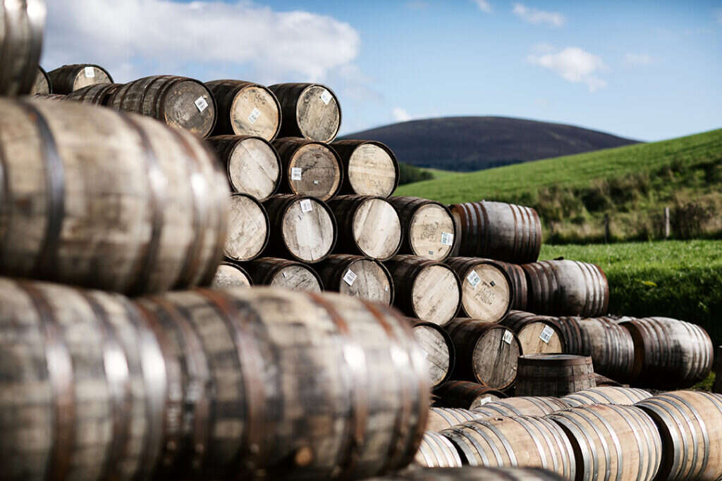 whisky casks